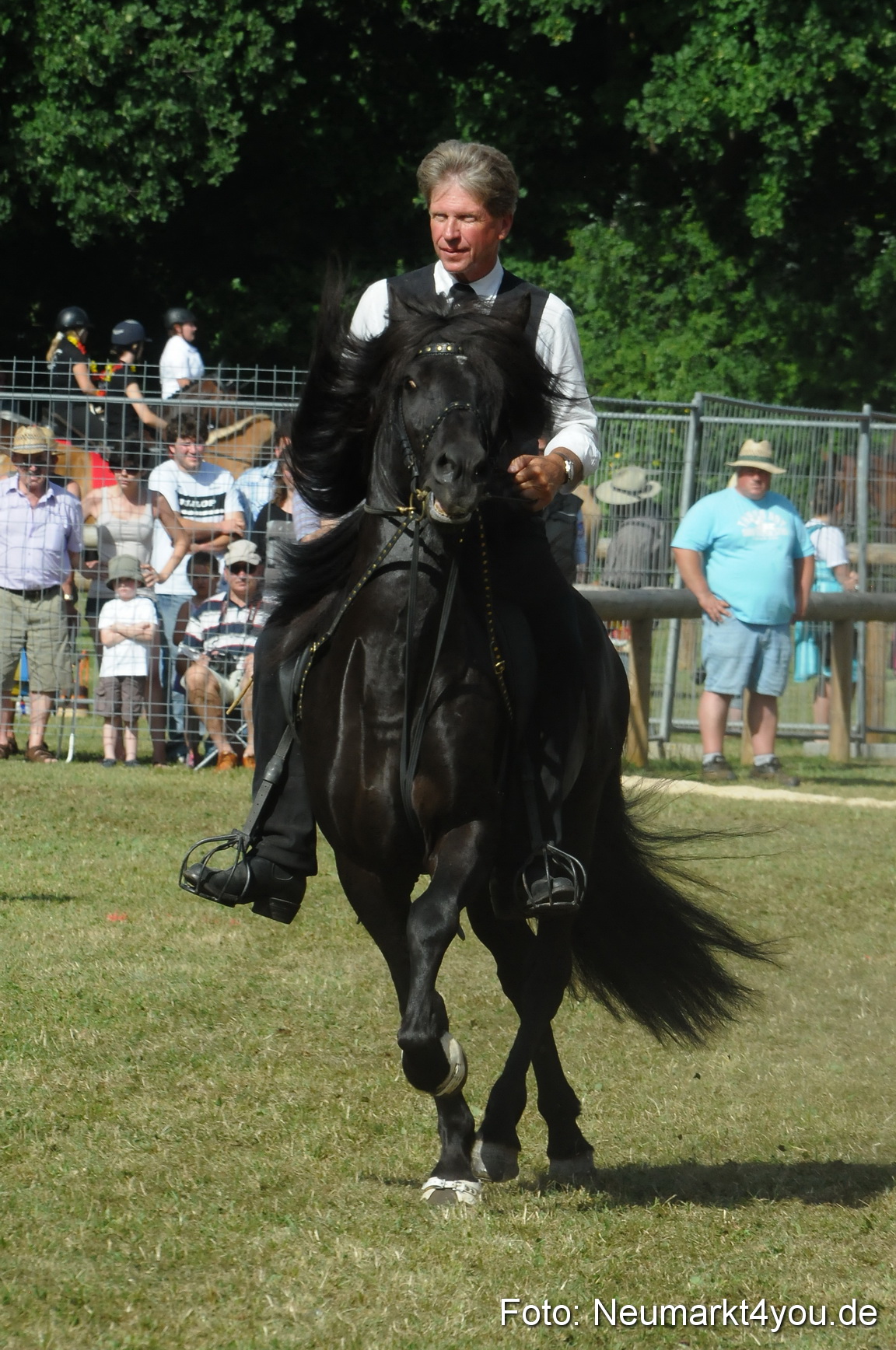 Pferde Fohlenschau 200812 0172