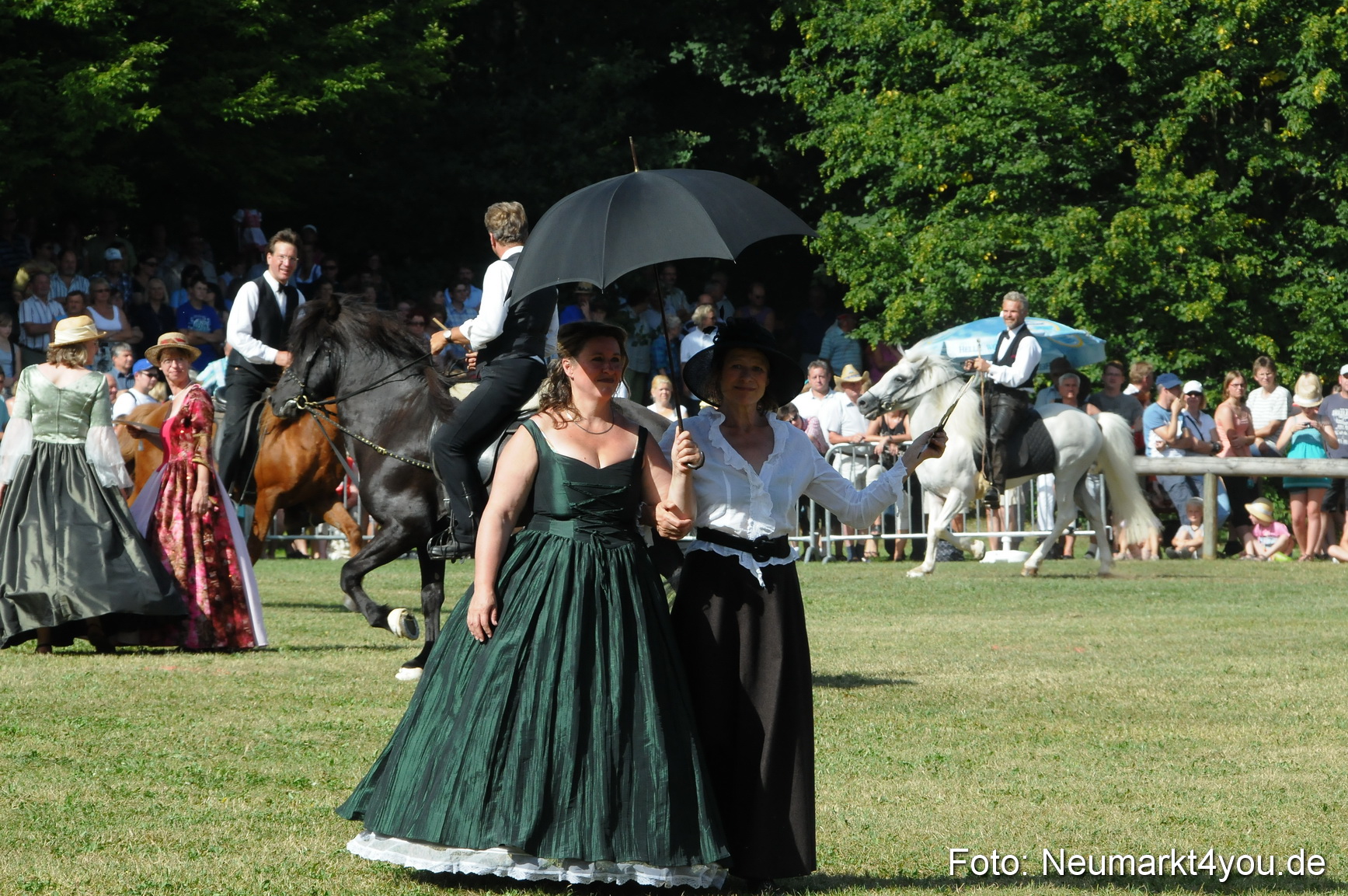 Pferde Fohlenschau 200812 0173
