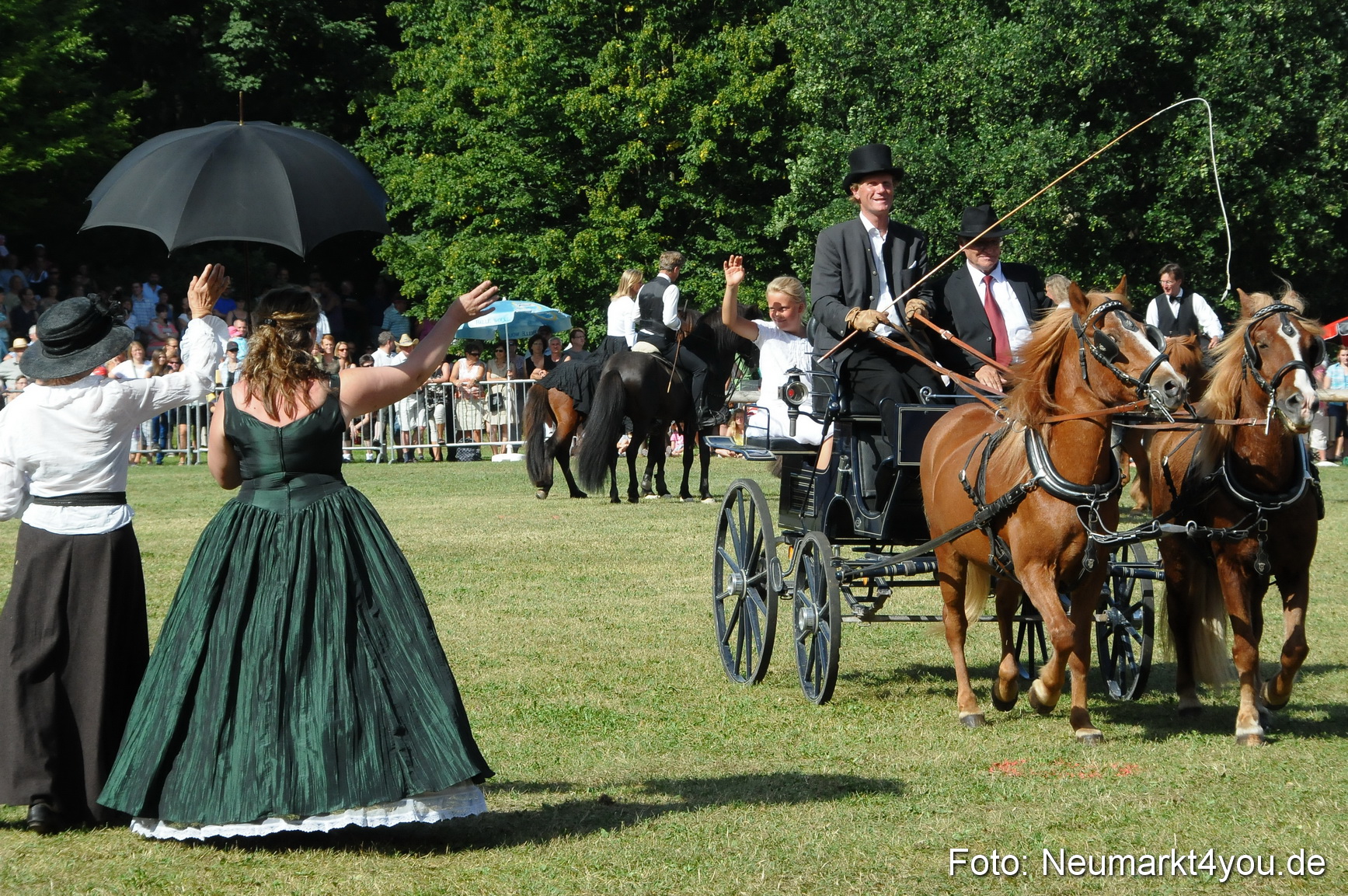 Pferde Fohlenschau 200812 0174
