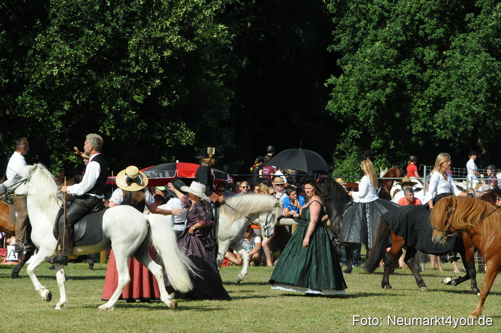 Pferde Fohlenschau 200812 0176