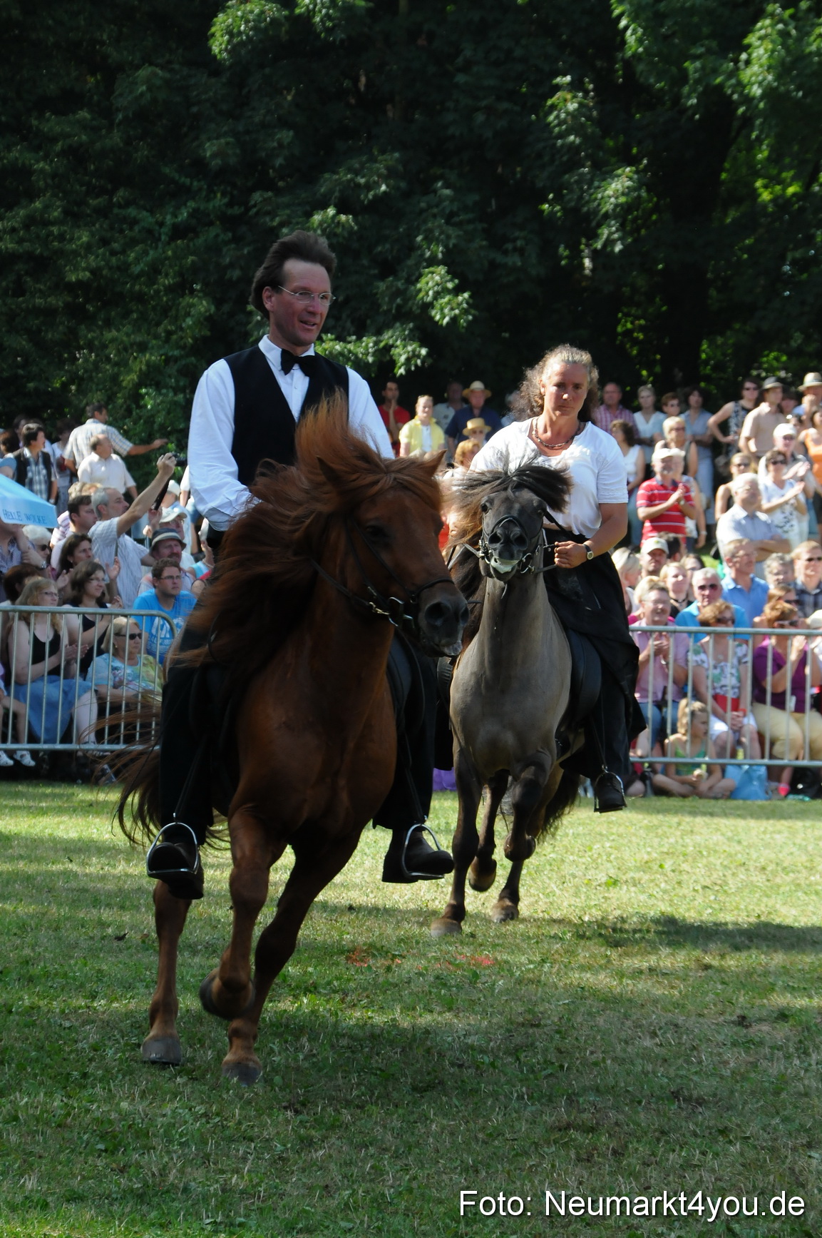 Pferde Fohlenschau 200812 0177