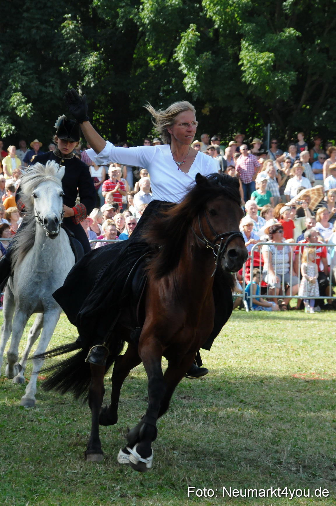 Pferde Fohlenschau 200812 0178