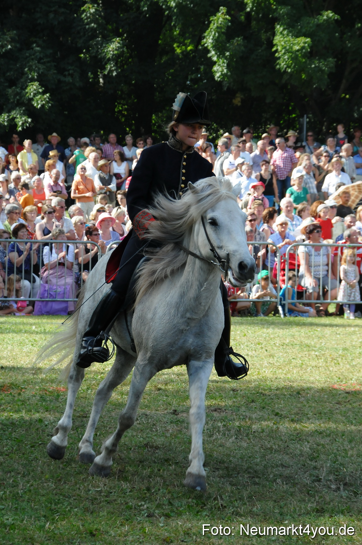 Pferde Fohlenschau 200812 0179