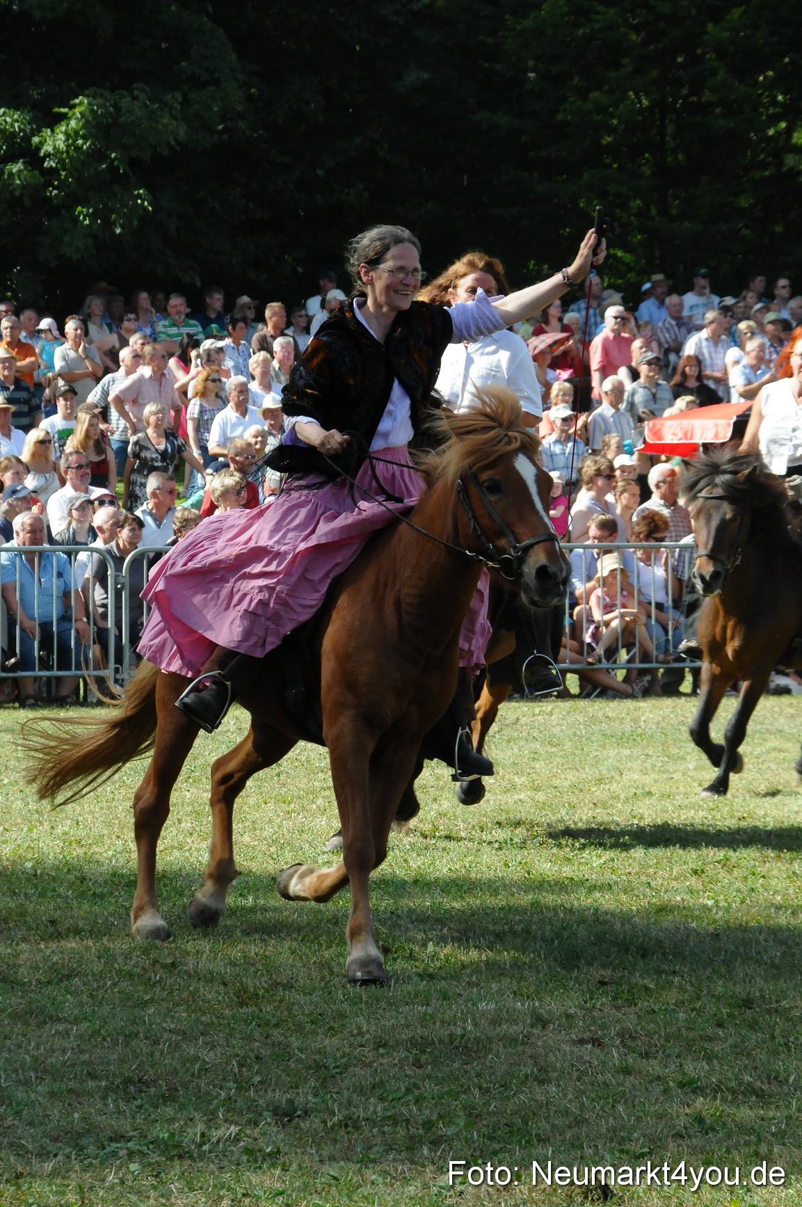 Pferde Fohlenschau 200812 0180