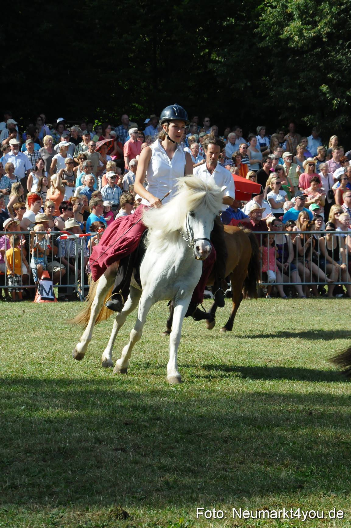 Pferde Fohlenschau 200812 0181