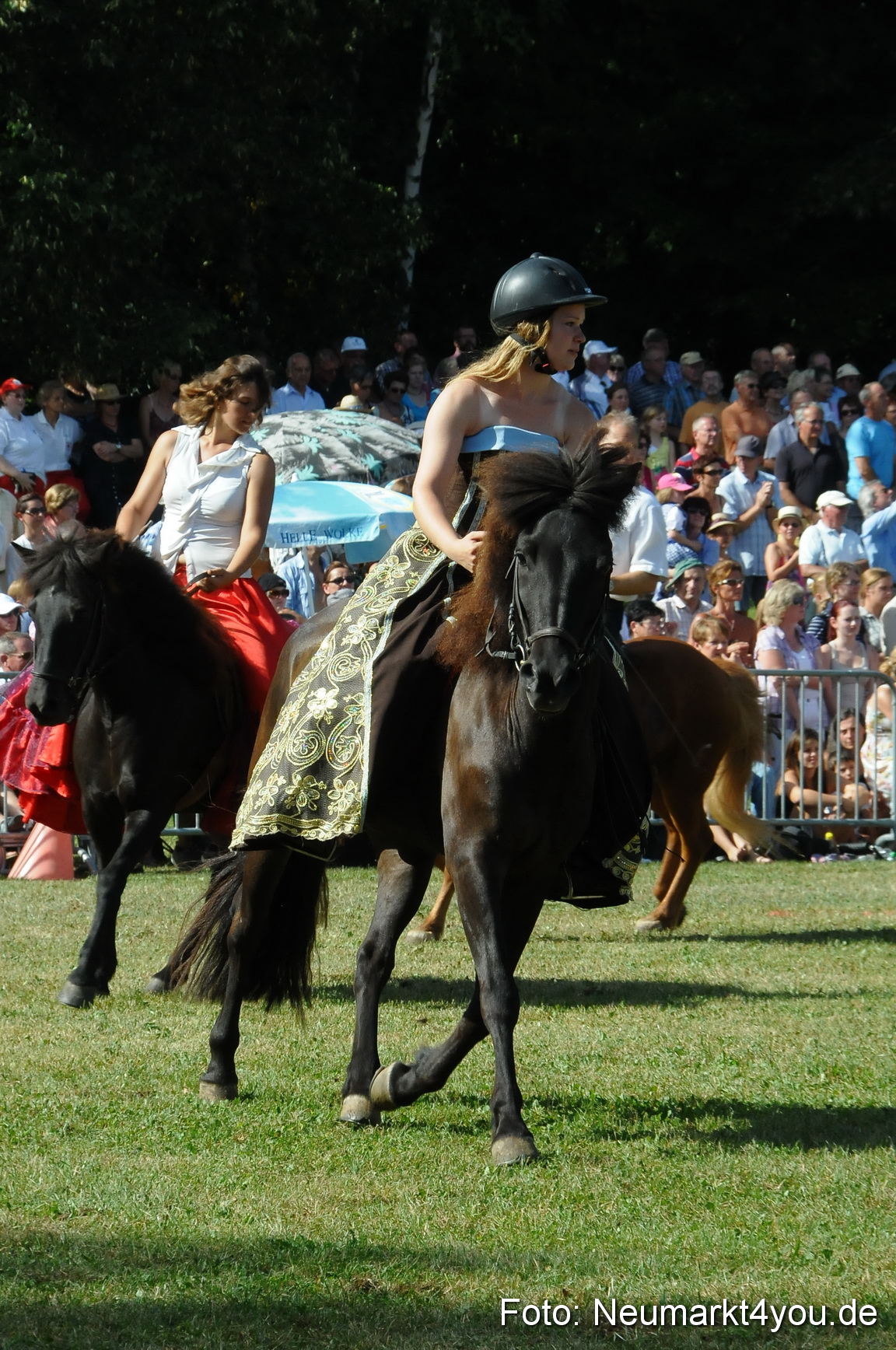 Pferde Fohlenschau 200812 0182