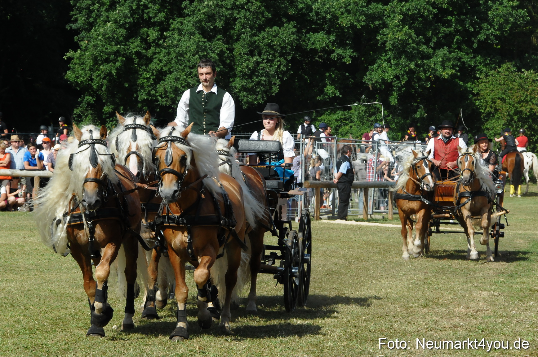Pferde Fohlenschau 200812 0183