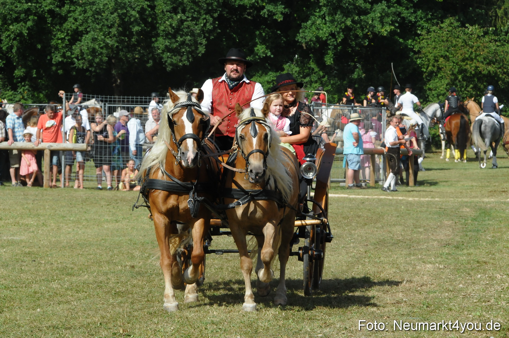 Pferde Fohlenschau 200812 0185