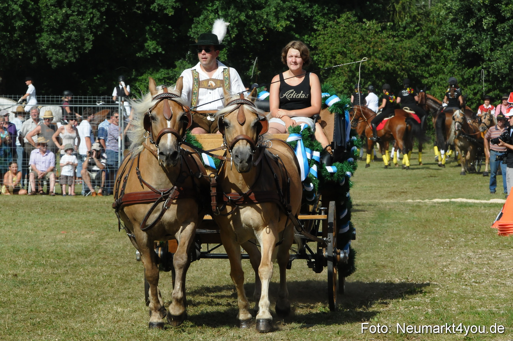 Pferde Fohlenschau 200812 0186