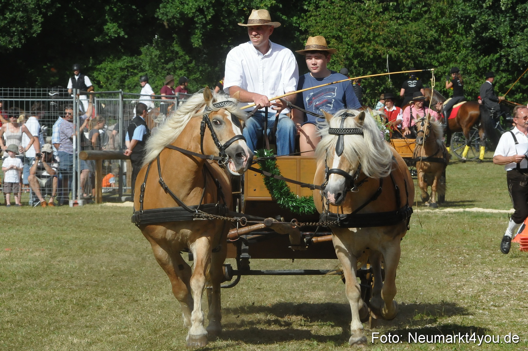 Pferde Fohlenschau 200812 0187