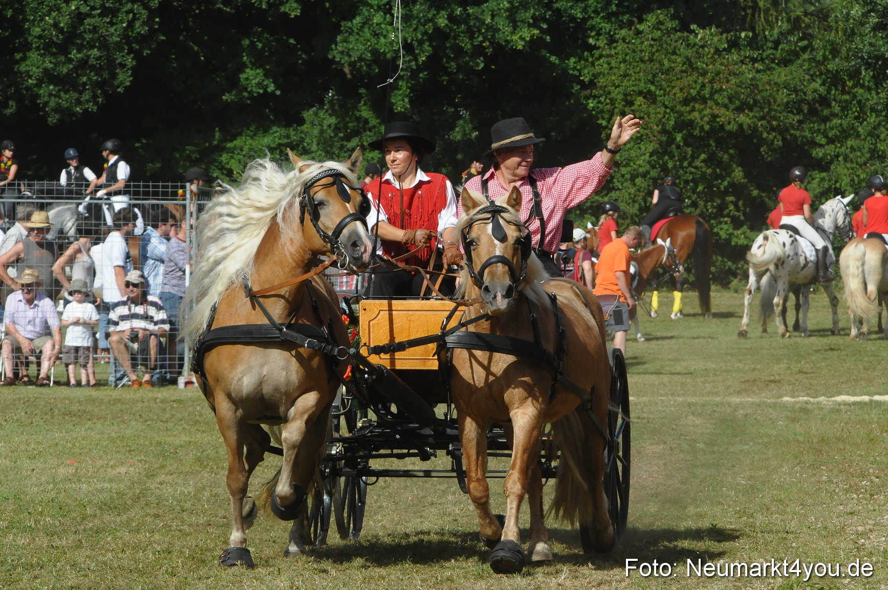 Pferde Fohlenschau 200812 0188