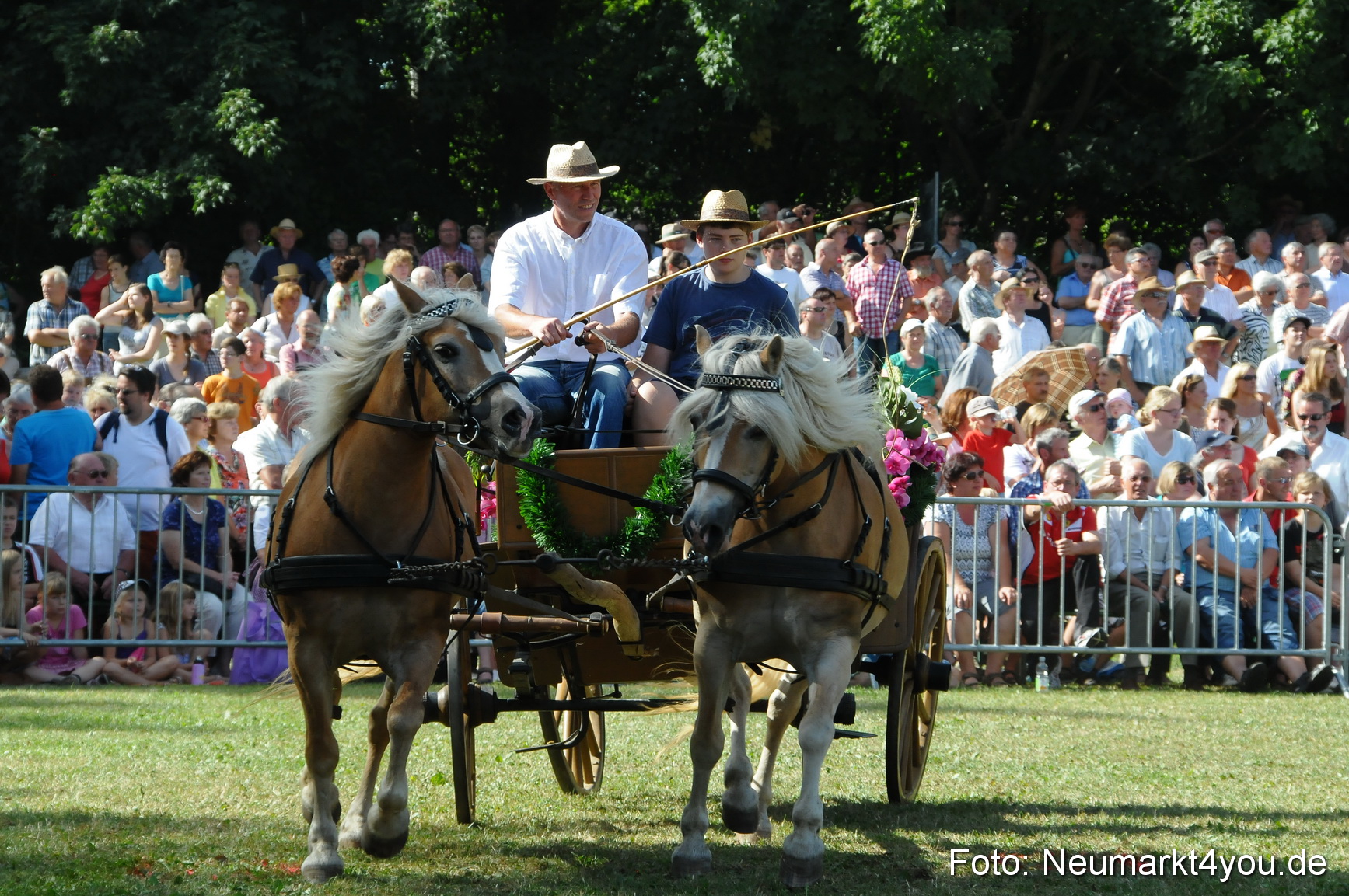 Pferde Fohlenschau 200812 0190