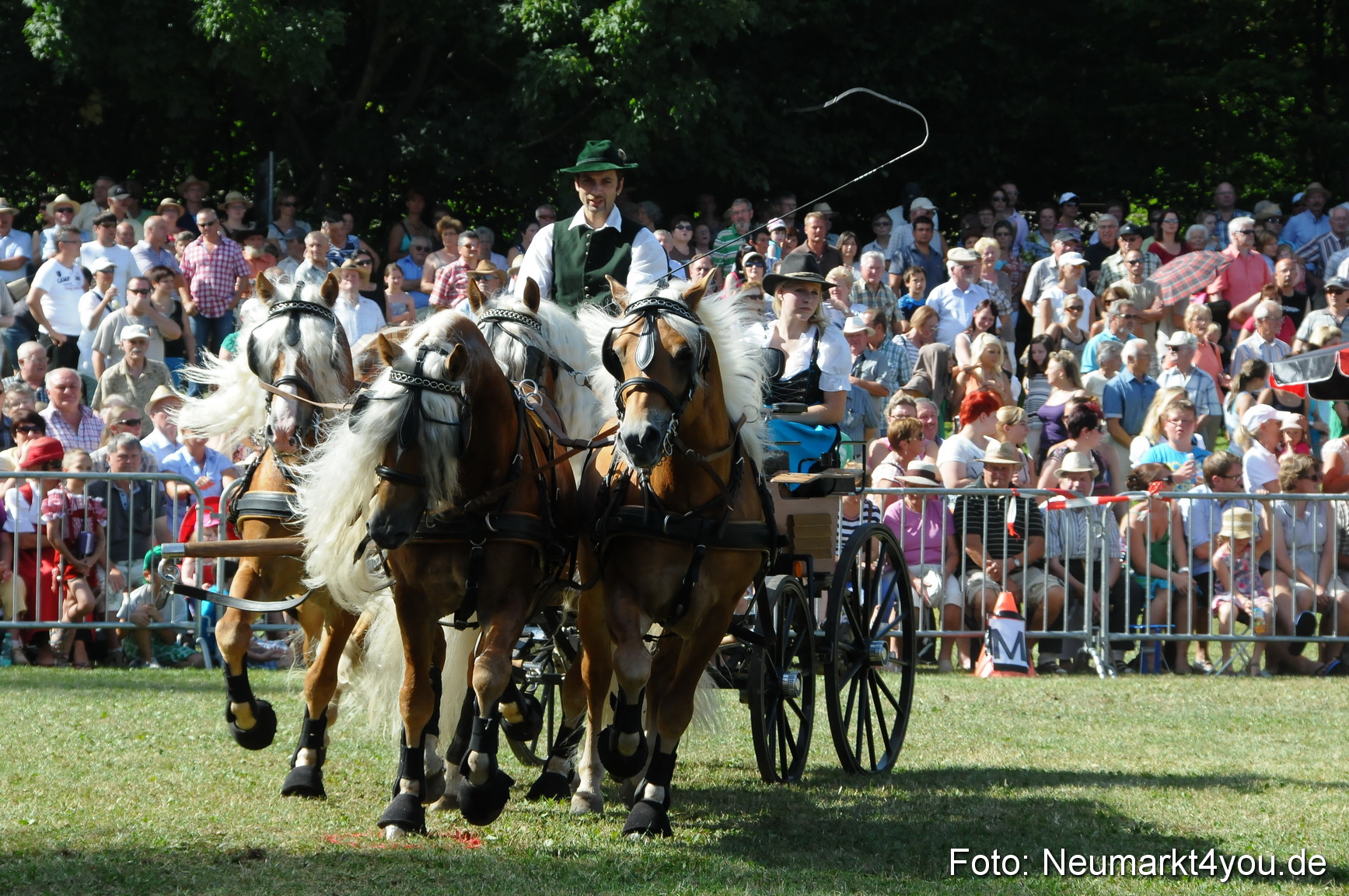 Pferde Fohlenschau 200812 0191