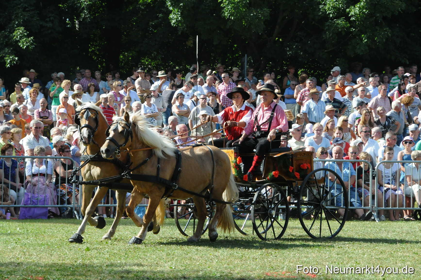 Pferde Fohlenschau 200812 0192