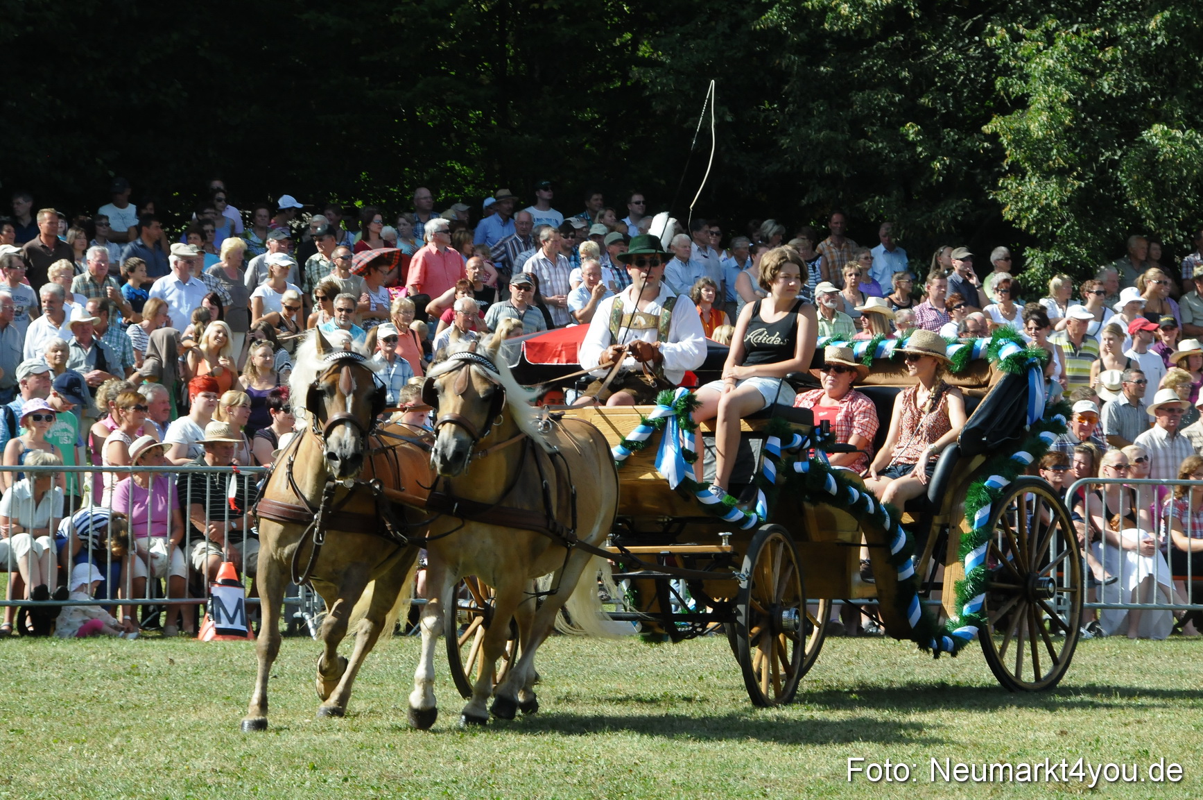 Pferde Fohlenschau 200812 0193
