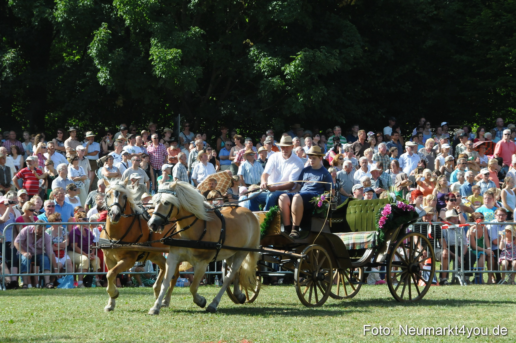 Pferde Fohlenschau 200812 0194