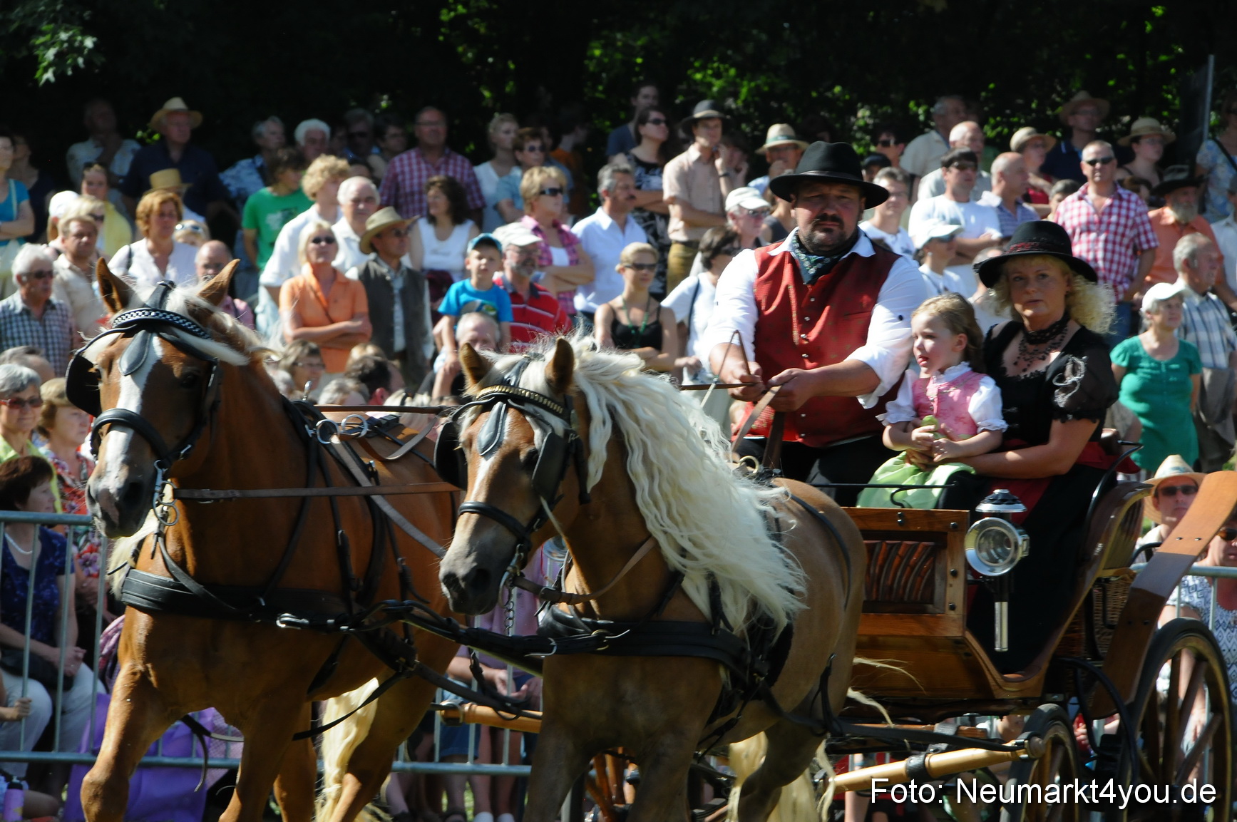 Pferde Fohlenschau 200812 0195