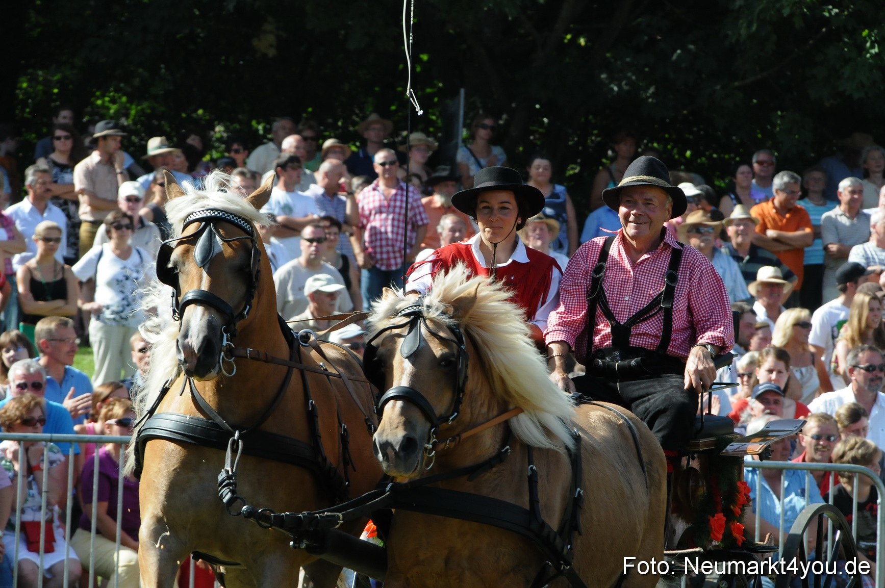 Pferde Fohlenschau 200812 0196