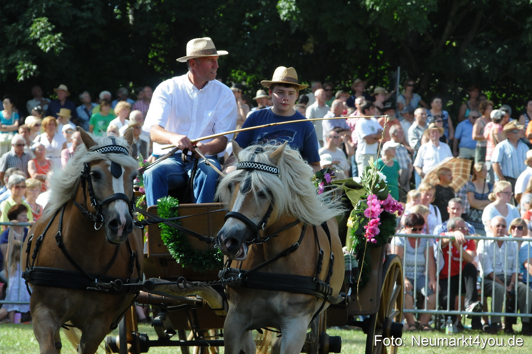 Pferde Fohlenschau 200812 0197