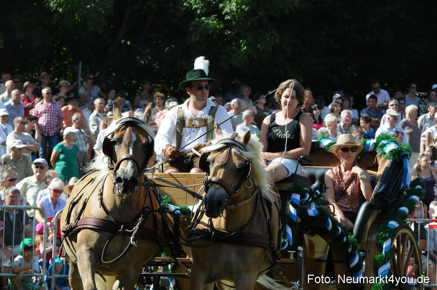 Pferde Fohlenschau 200812 0198