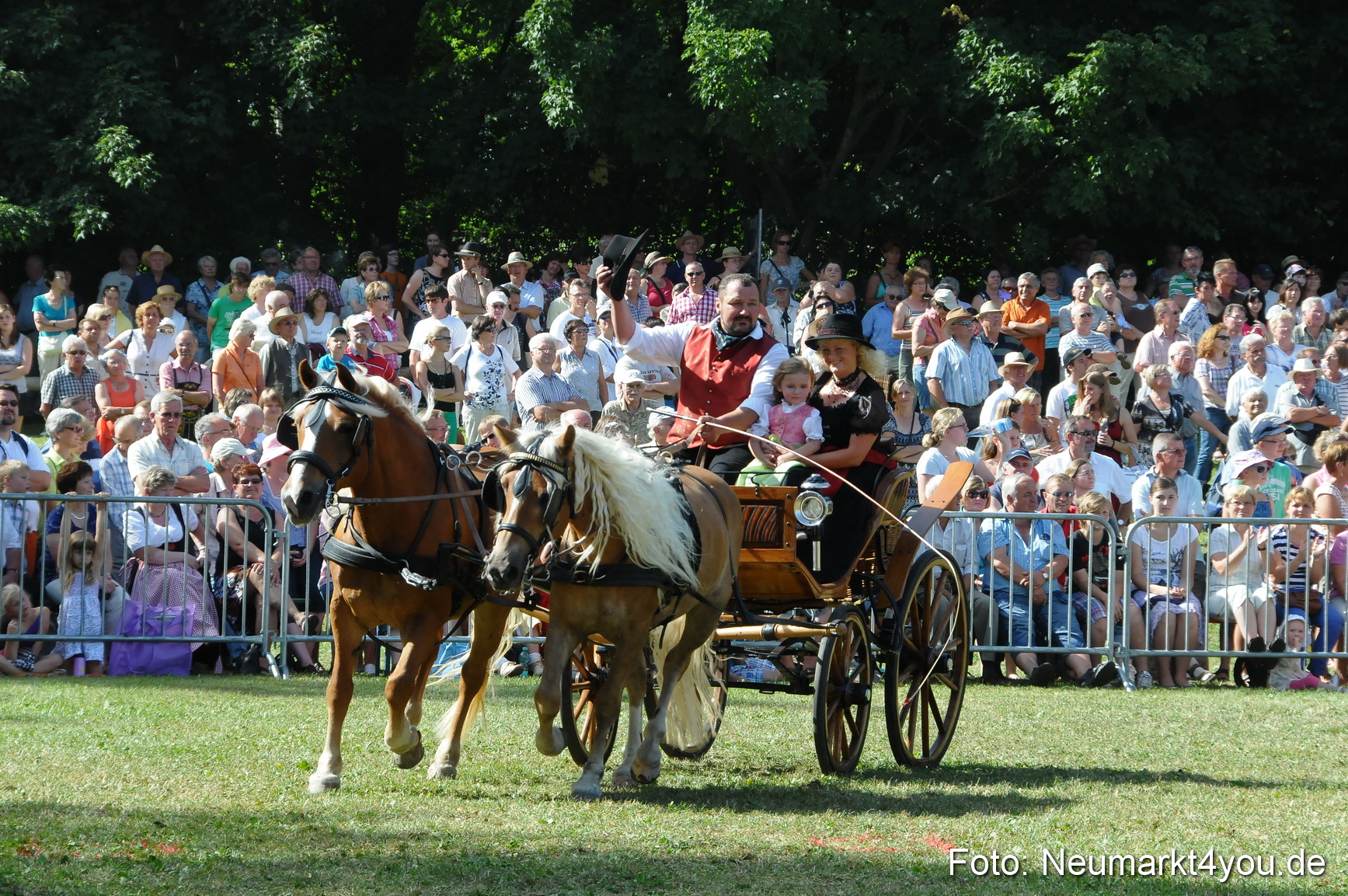 Pferde Fohlenschau 200812 0199