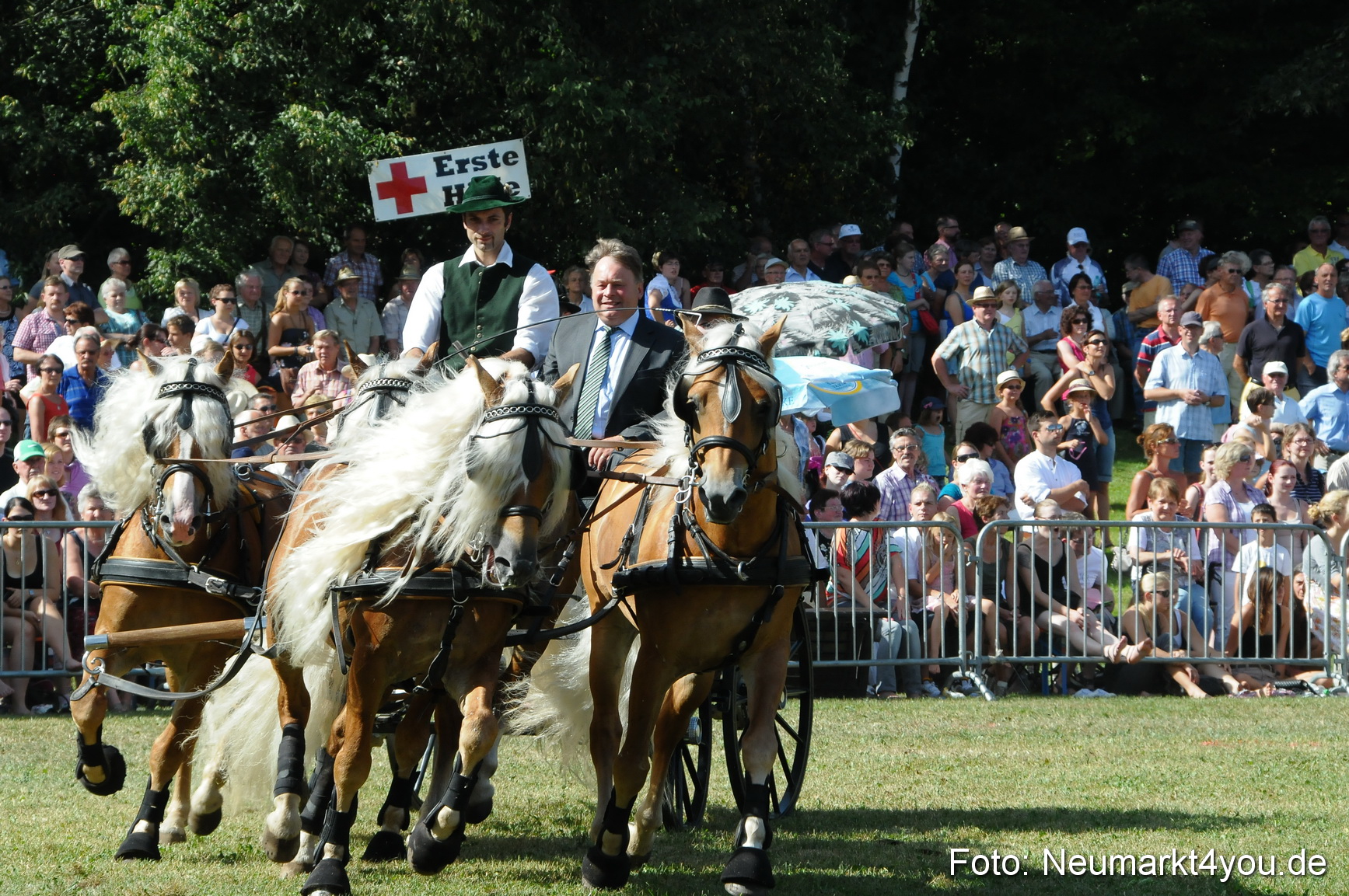 Pferde Fohlenschau 200812 0200