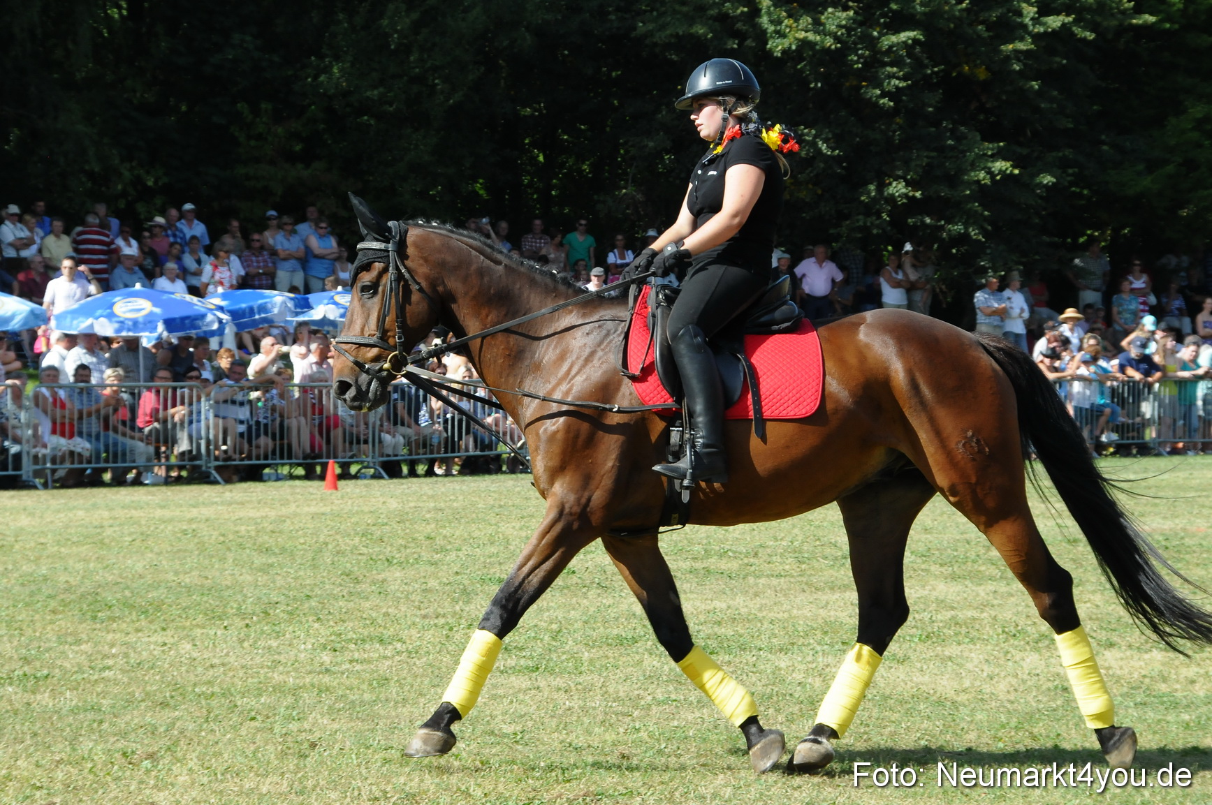 Pferde Fohlenschau 200812 0201