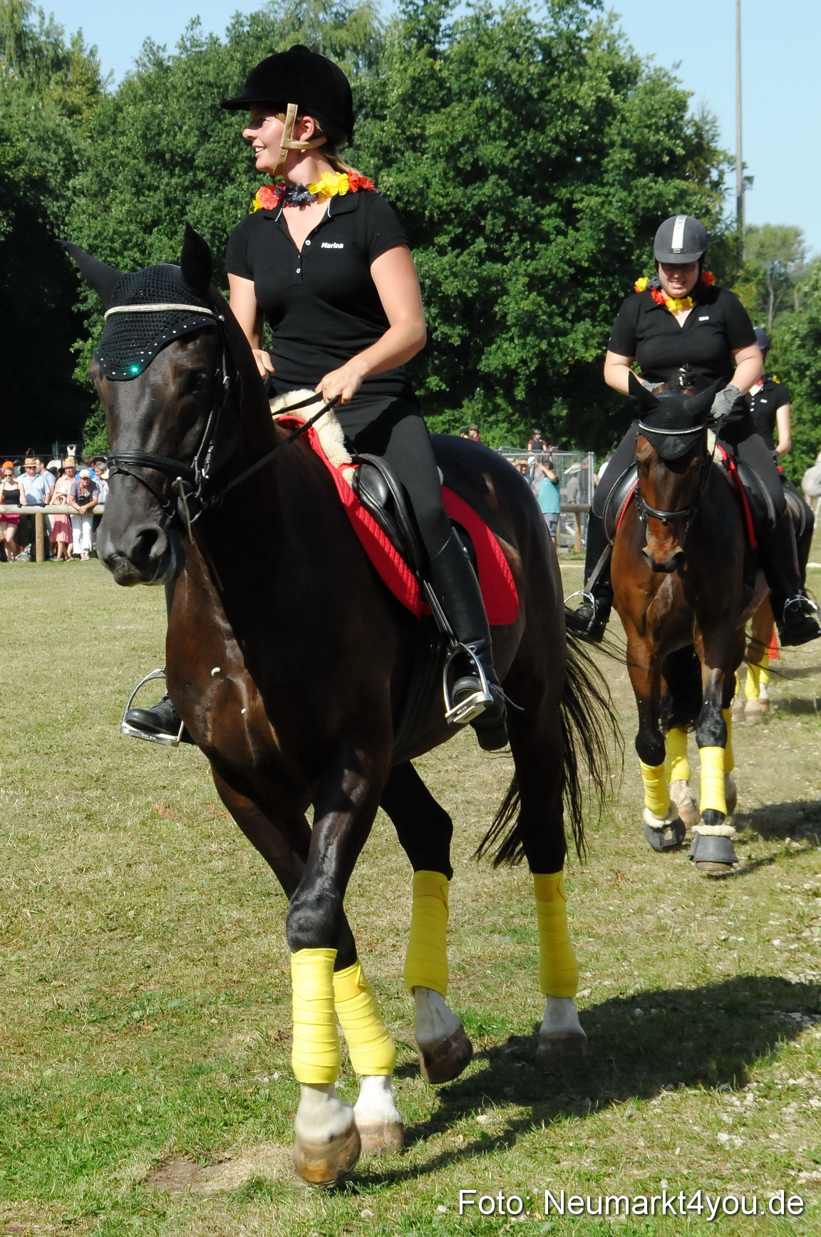 Pferde Fohlenschau 200812 0202