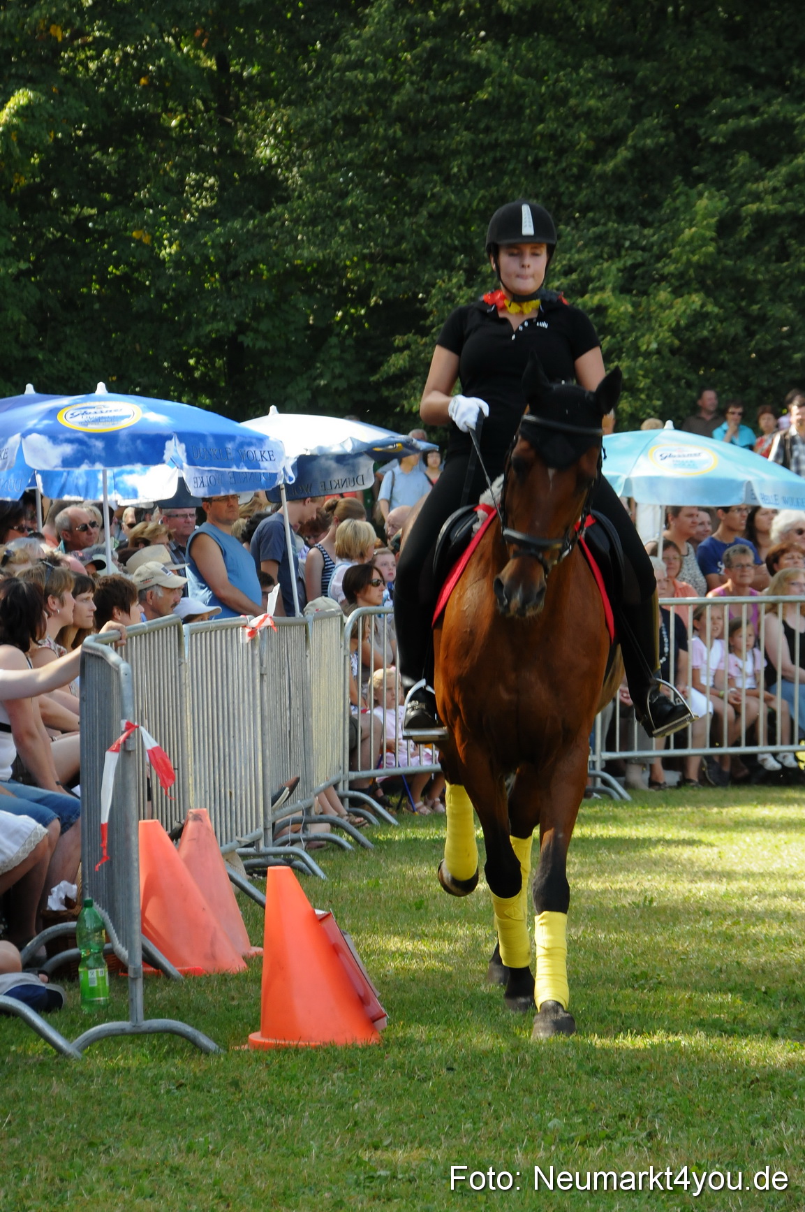 Pferde Fohlenschau 200812 0203