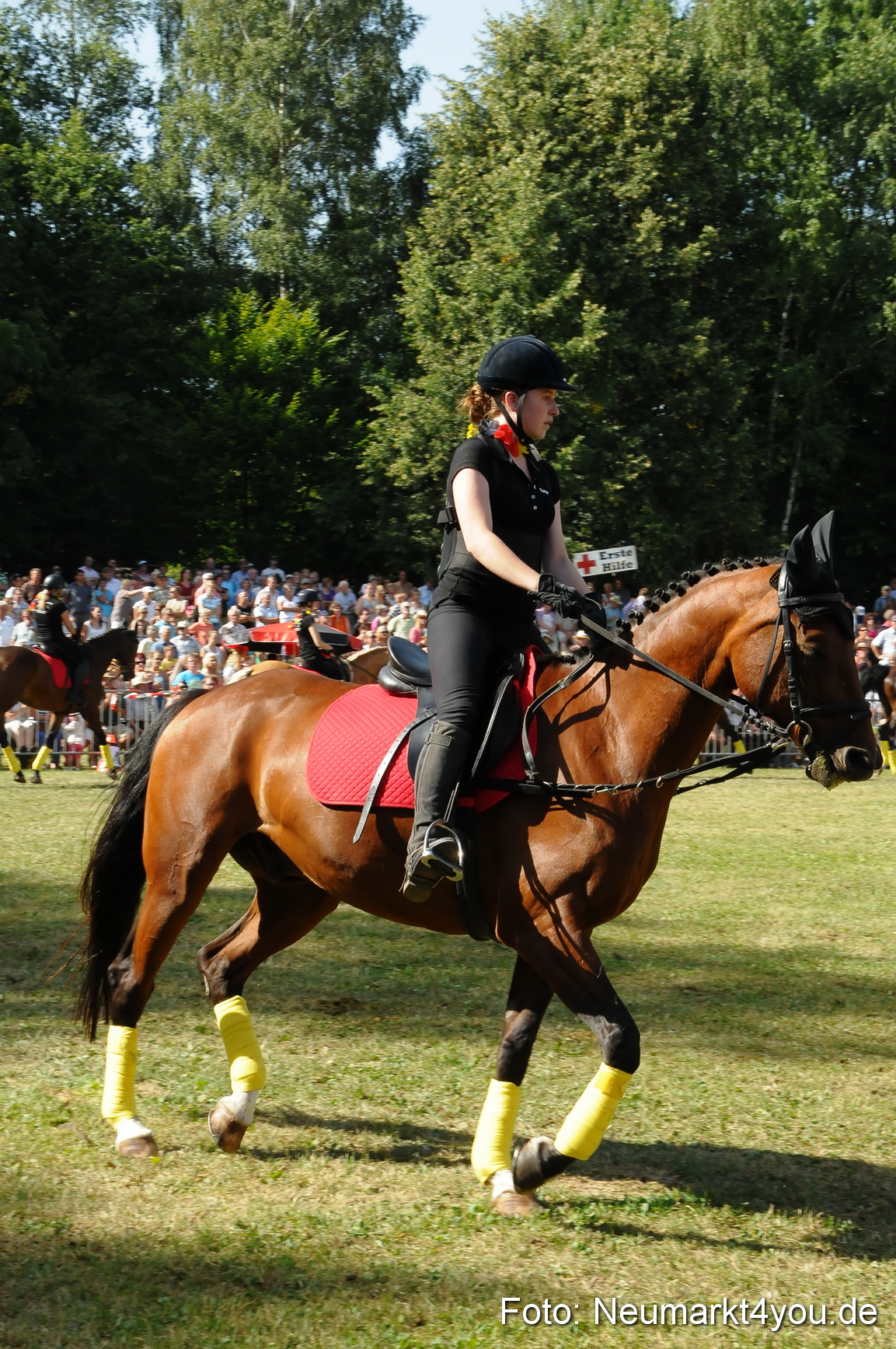 Pferde Fohlenschau 200812 0204