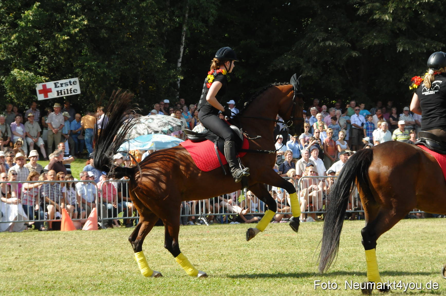 Pferde Fohlenschau 200812 0205