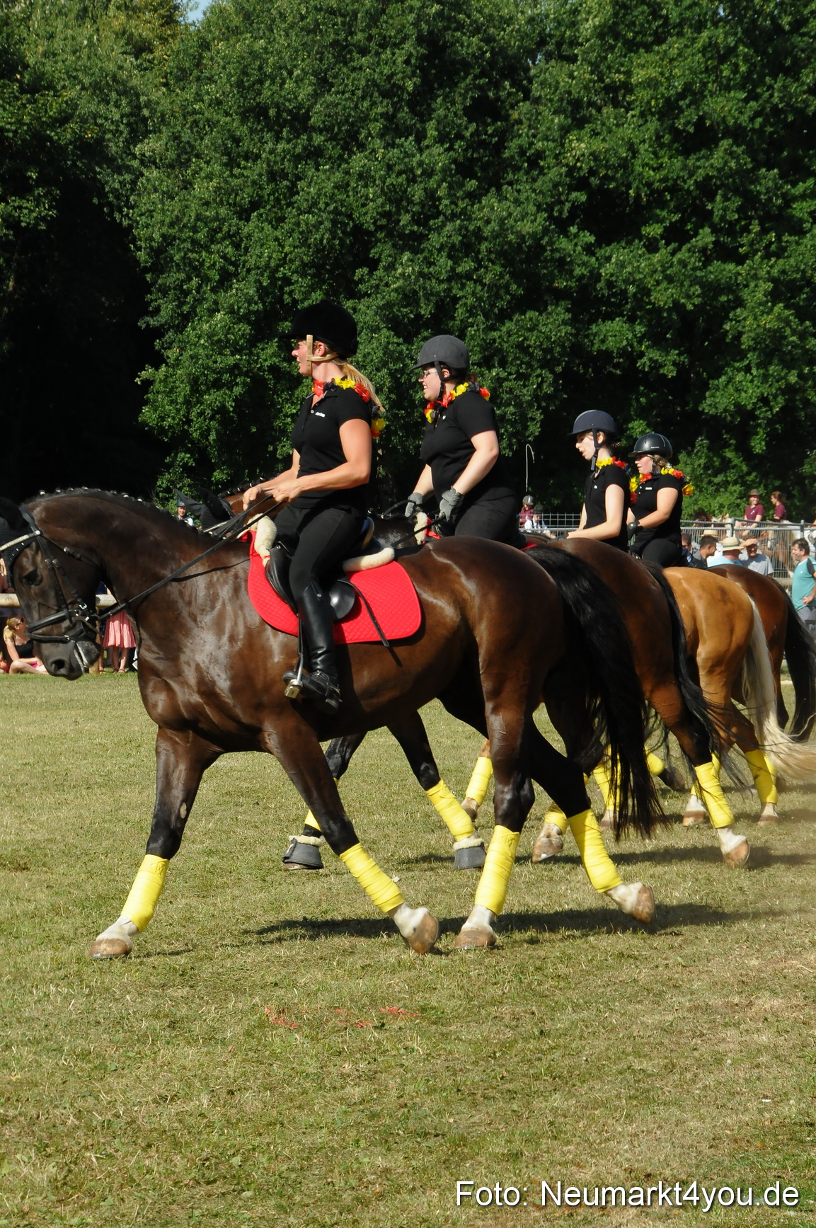 Pferde Fohlenschau 200812 0206