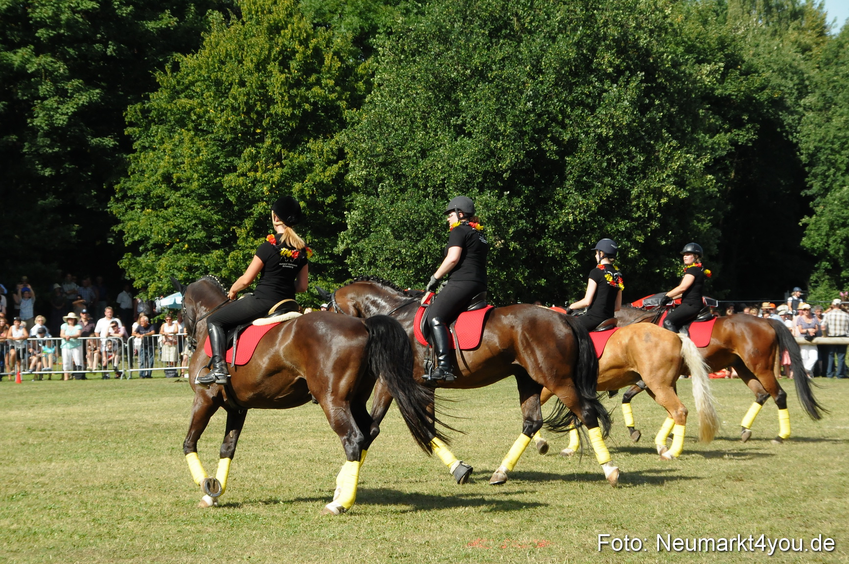 Pferde Fohlenschau 200812 0207