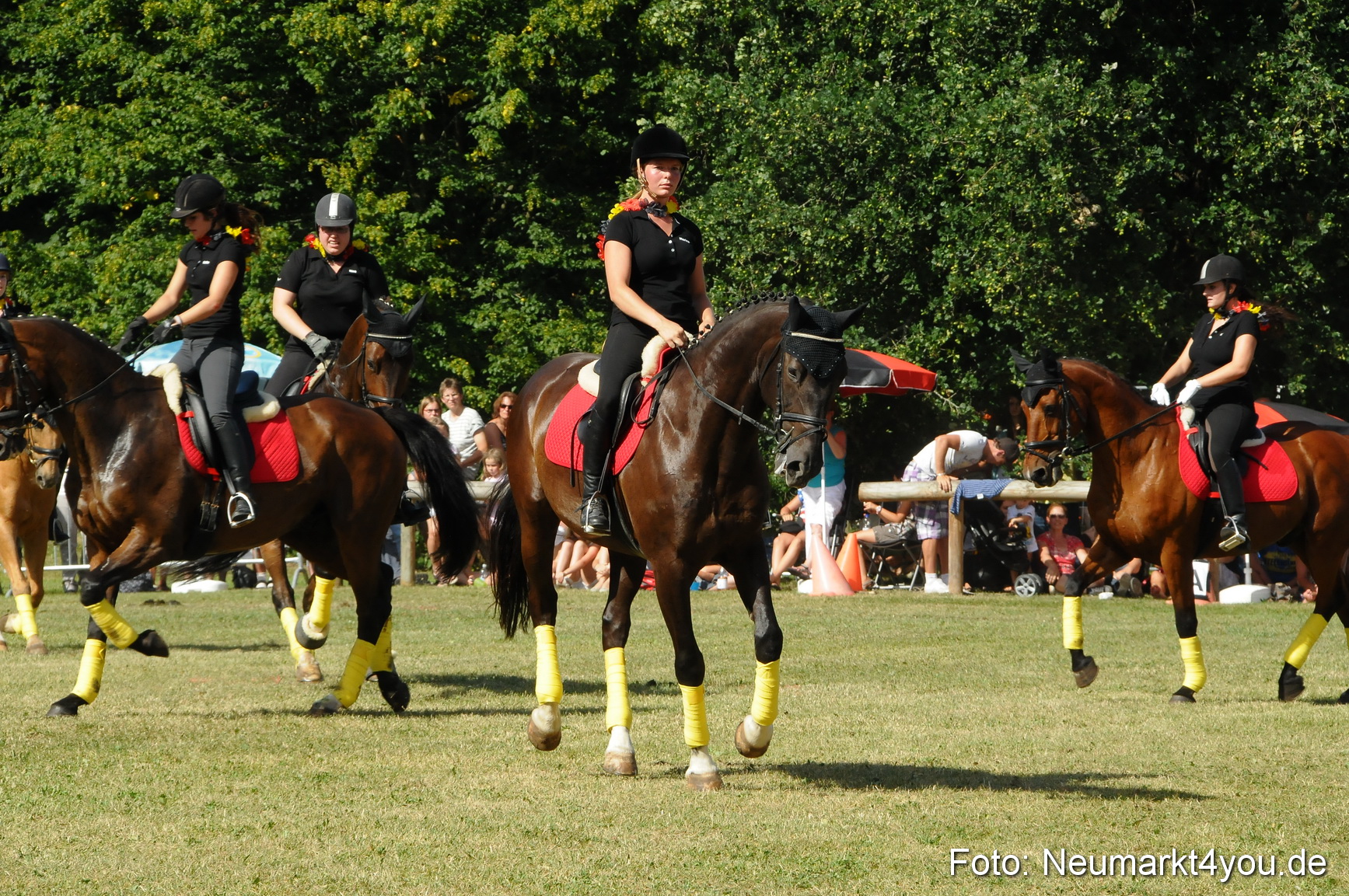 Pferde Fohlenschau 200812 0208