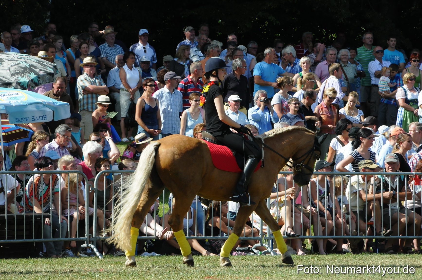 Pferde Fohlenschau 200812 0209