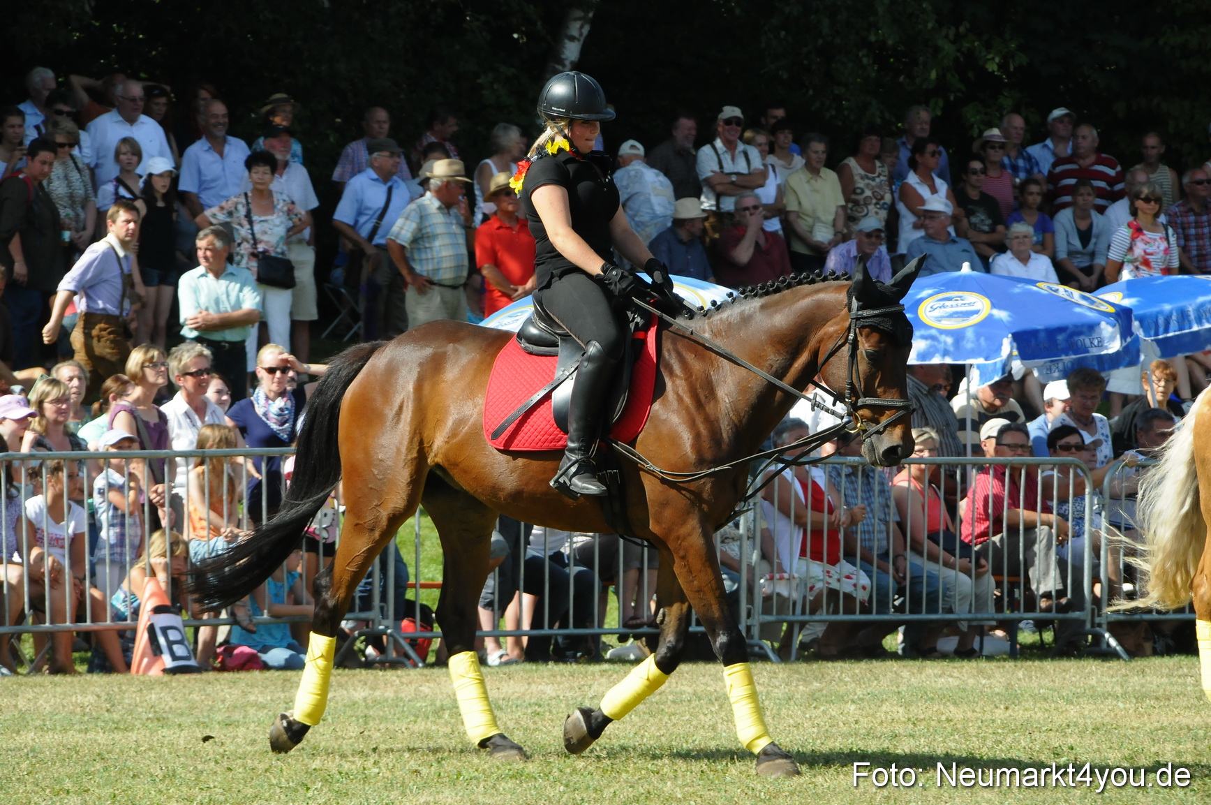 Pferde Fohlenschau 200812 0210