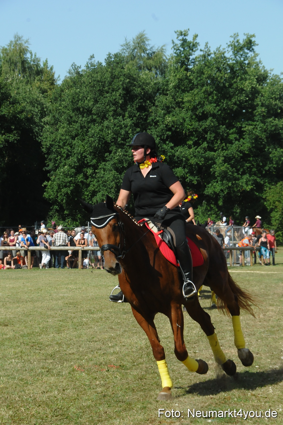 Pferde Fohlenschau 200812 0212