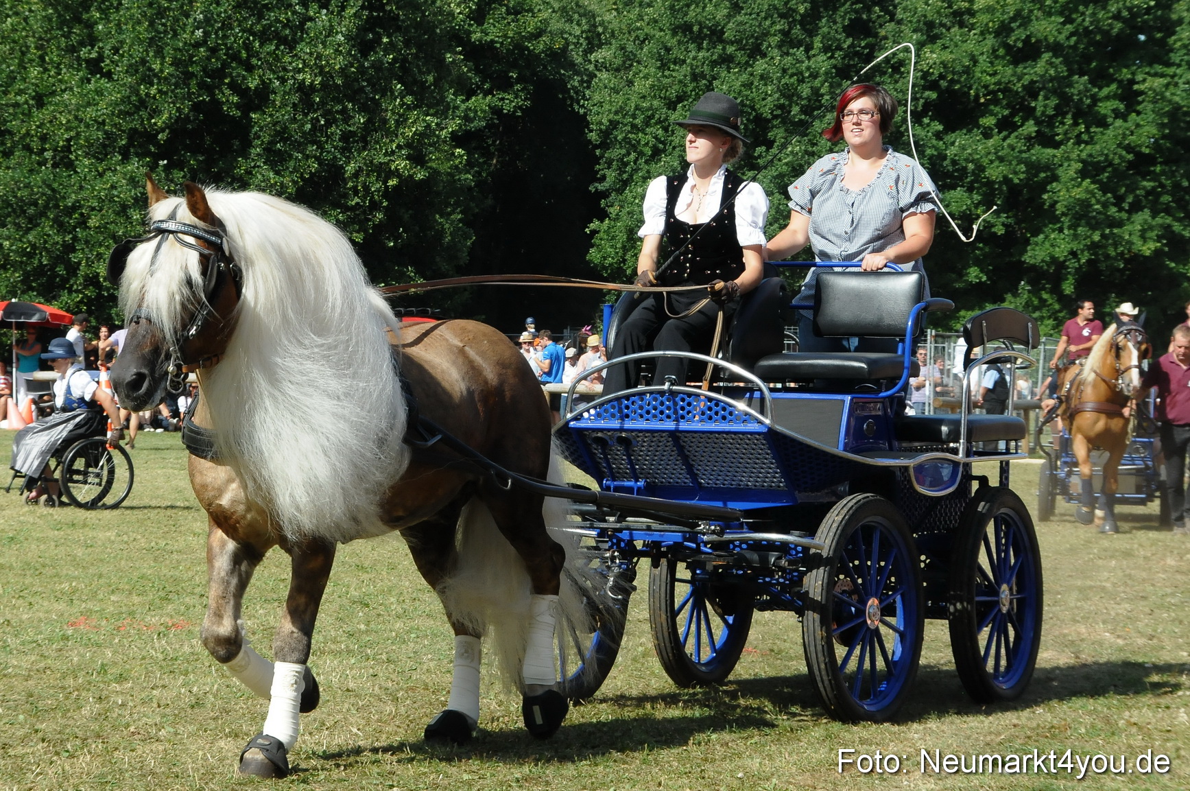 Pferde Fohlenschau 200812 0213