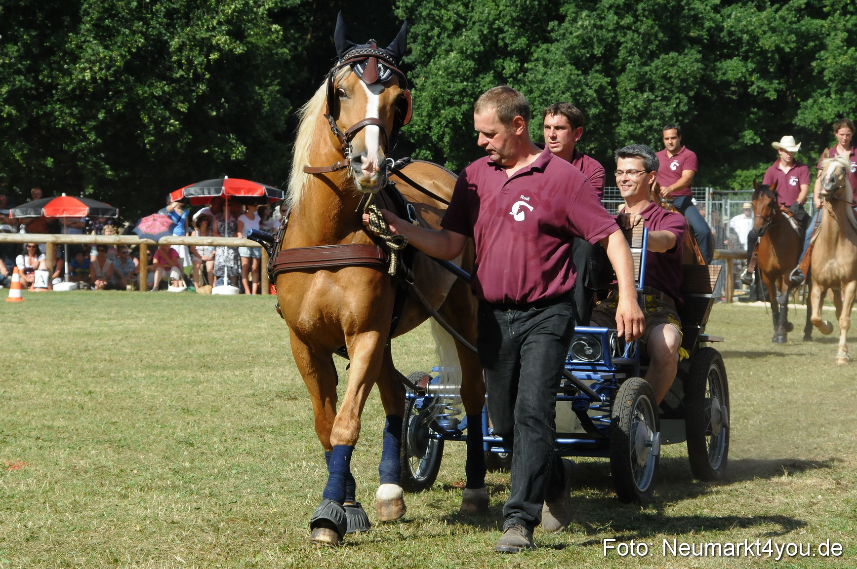 Pferde Fohlenschau 200812 0214