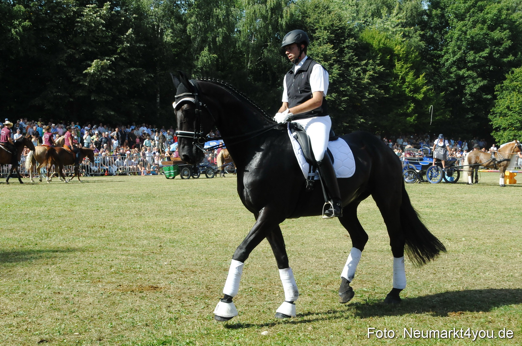 Pferde Fohlenschau 200812 0216