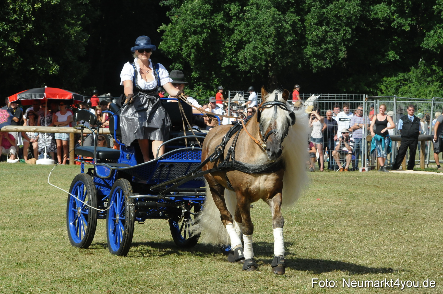 Pferde Fohlenschau 200812 0217