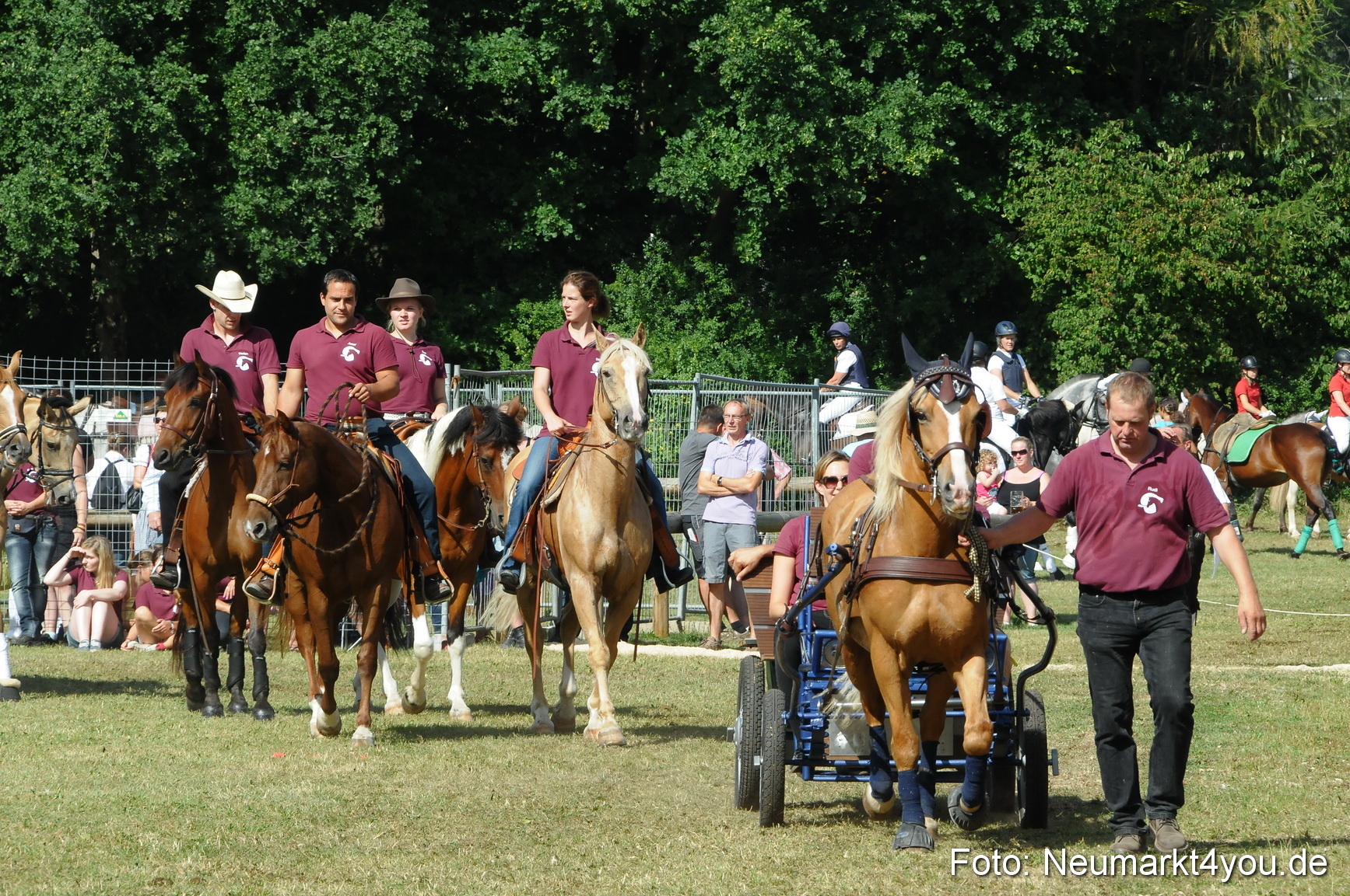 Pferde Fohlenschau 200812 0218