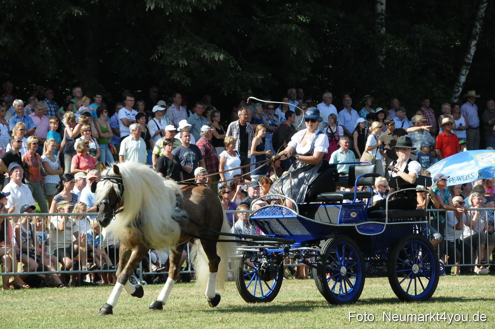 Pferde Fohlenschau 200812 0219