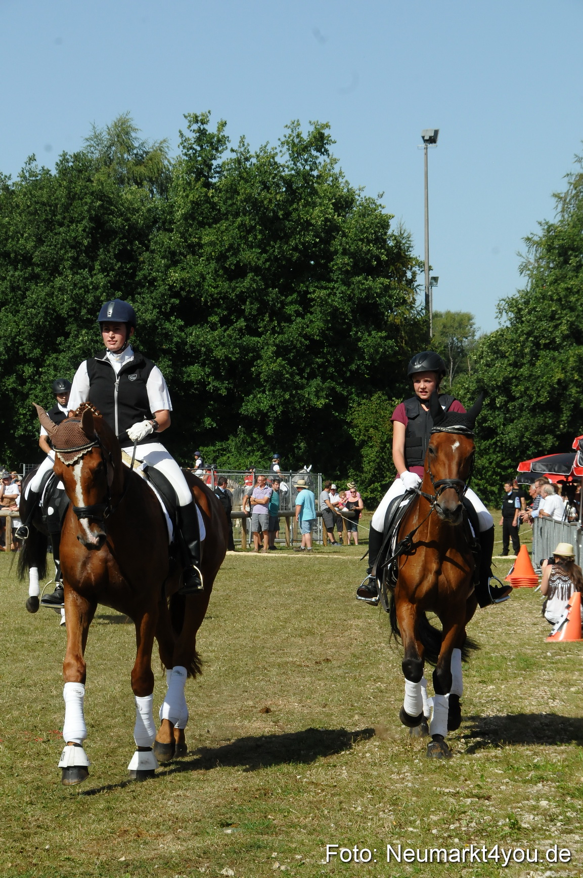 Pferde Fohlenschau 200812 0220