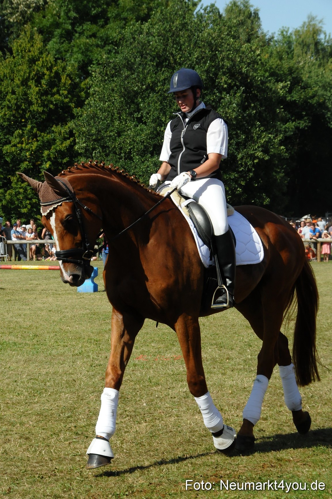 Pferde Fohlenschau 200812 0221