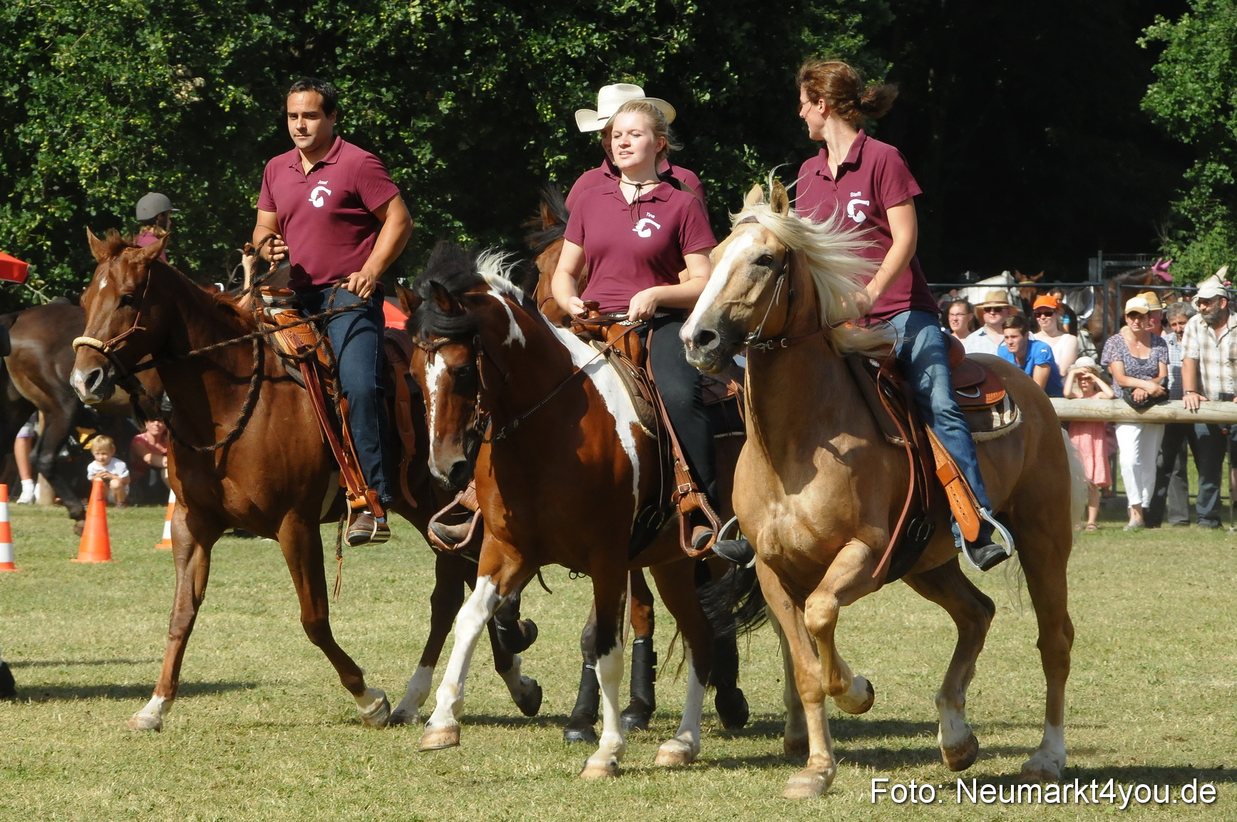 Pferde Fohlenschau 200812 0222
