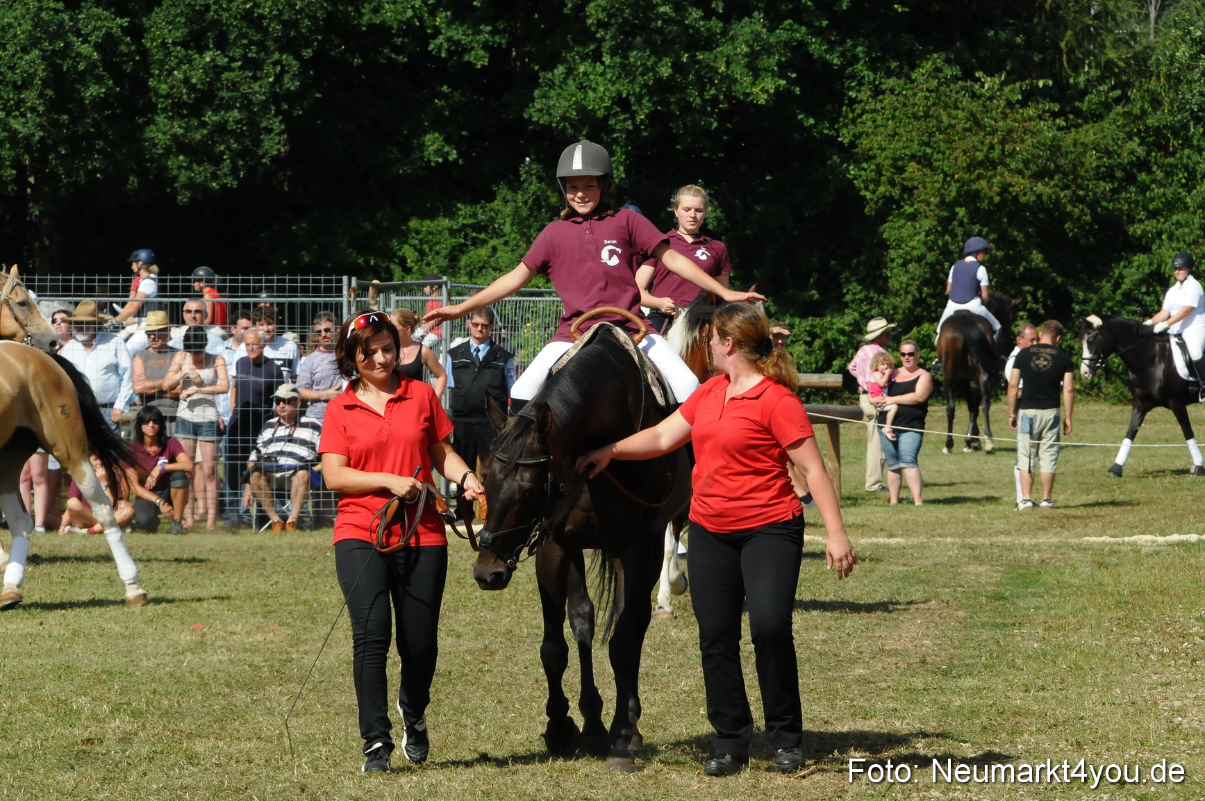 Pferde Fohlenschau 200812 0223