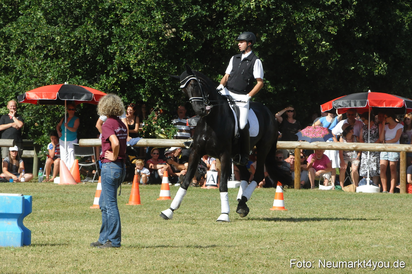 Pferde Fohlenschau 200812 0224