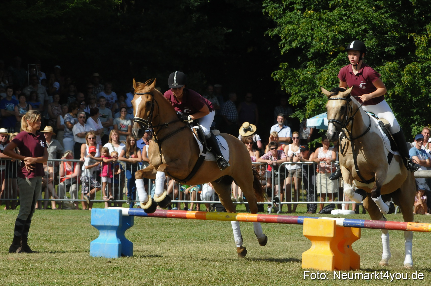 Pferde Fohlenschau 200812 0225