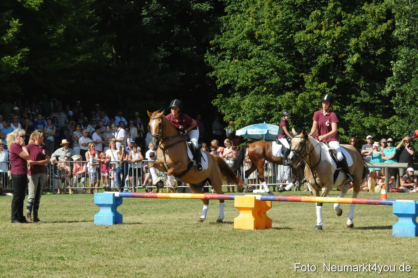 Pferde Fohlenschau 200812 0226